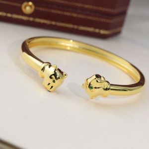 $29.00,Cartier Bangle For Women # 295884