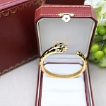Cartier Bangle For Women # 295813