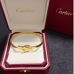 Cartier Bangle For Women # 296586