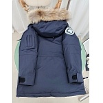 The Northface Down Jackets For Women # 296797, cheap The Northface