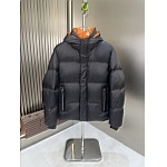 The Zegna Down Jackets For Women # 296799