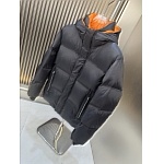 The Zegna Down Jackets For Women # 296799, cheap Zegna Down Jackets