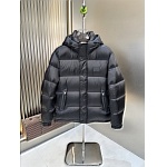 Fendi Down Jacket For Men # 296817