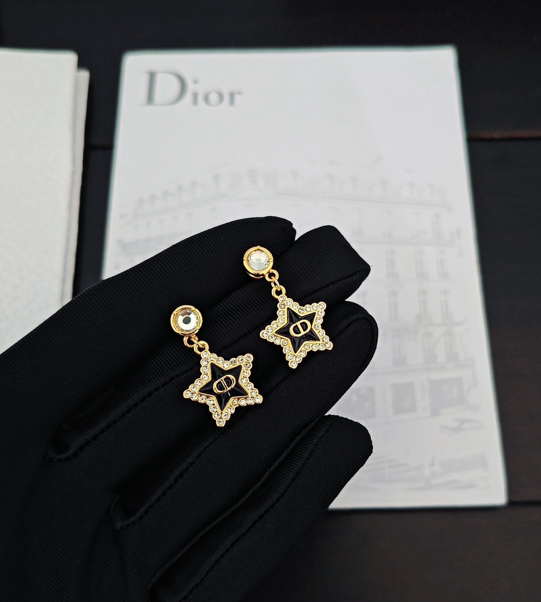 Dior Earrings For Women # 298375