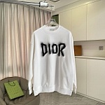 Dior Hoodies Unisex # 297045