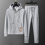 Burberry Tracksuits For Men # 297194