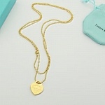 Tiffany Necklace  # 298338