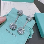 Tiffany Earrings For Women # 298393, cheap Tiffany Earrings