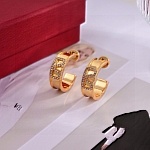 Valentino Earrings For Women # 298441