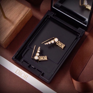 $26.00,Dior Earings For Women # 299654