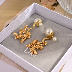 $26.00,Dior Earings For Women # 299684