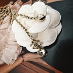 Chanel Necklace For Women # 299250