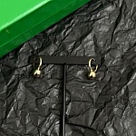 Bottega Veneta Earrings For Women # 299266, cheap Bottega Veneta