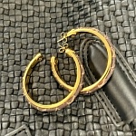 Louis Vuitton Earrings For Women # 299353, cheap LV Earrings
