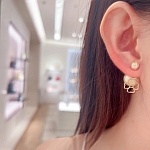 Dior Earings For Women # 299675, cheap Dior Earrings