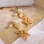 Dior Earings For Women # 299684, cheap Dior Earrings