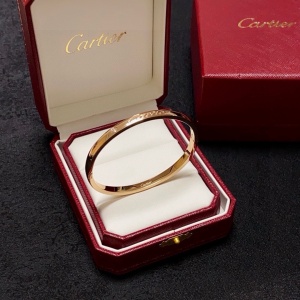 $27.00,Cartier Bangle For Women # 300148