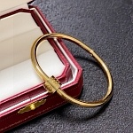 Cartier Bangle For Women # 300149