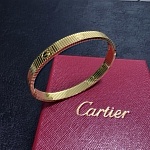 Cartier Bangle For Women # 300196