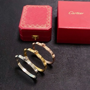 $29.00,Cartier Bangle For Women # 304707