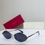 Cartier Sunglasses # 302158