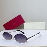 Cartier Sunglasses # 302160