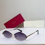 Cartier Sunglasses # 302163