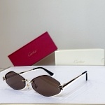 Cartier Sunglasses # 302164