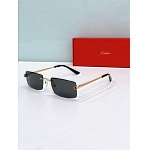 Cartier Sunglasses # 302193