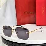 Cartier Sunglasses # 302204