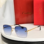 Cartier Sunglasses # 302205