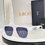 Dior Sunglasses # 302541
