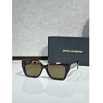D&G Sunglasses # 302660