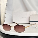 Jimmy Choo Sunglasses # 303131