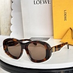 Loewe Sunglasses # 303177