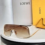 Loewe Sunglasses # 303204