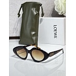 Loewe Sunglasses # 303257