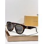 Loewe Sunglasses # 303314