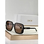 Dior Sunglasses # 303671