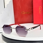 Cartier Sunglasses # 303903