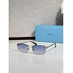 Tiffany Sunglasses # 303943