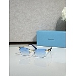 Tiffany Sunglasses # 303949