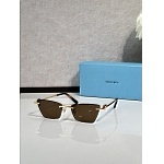 Tiffany Sunglasses # 303950
