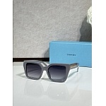 Tiffany Sunglasses # 303960