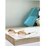 Tiffany Sunglasses # 303967