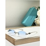 Tiffany Sunglasses # 303968