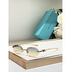 Tiffany Sunglasses # 303969
