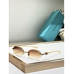 Tiffany Sunglasses # 303970