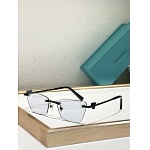 Tiffany Sunglasses # 303971