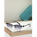 Tiffany Sunglasses # 303972